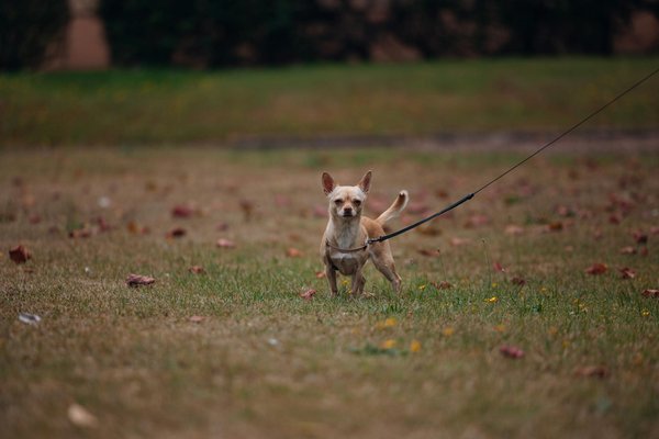 Kochtipps und Tricks die die Zukunft der Branche prägen