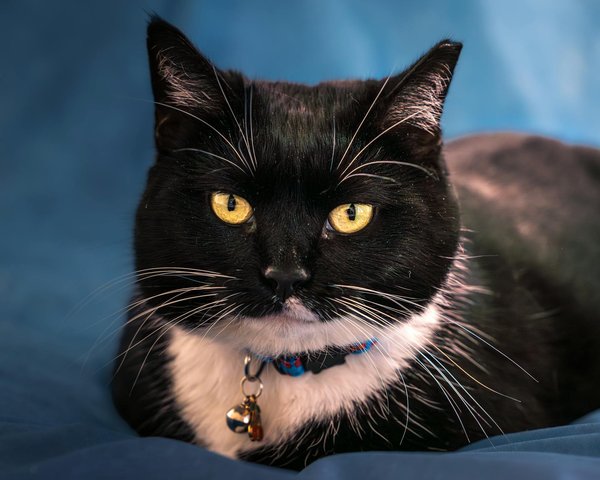 Die Zukunft der die die Zukunft der Branche prägen